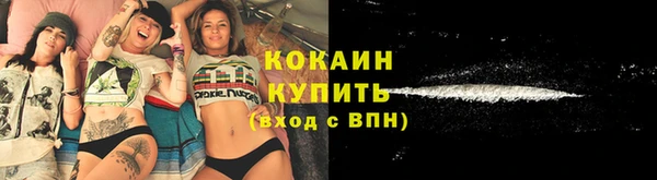 мяу мяу мука Аркадак
