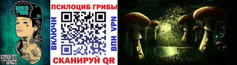 как найти закладки  Оса  Галлюциногенные грибы прущие грибы 